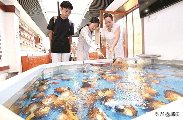 我们的邯郸道丨扎根烟火岁月长