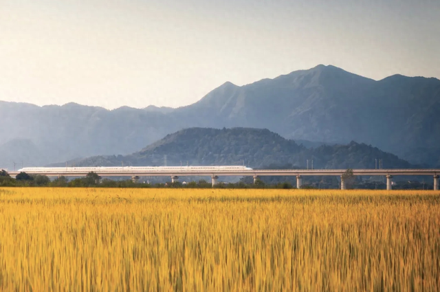 “特种兵”旅行已过时！长三角铁路15日有效期旅游计次票上线，这样买更省钱