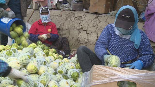 悠然家乡，蓝天白云，青山绿水，自然之美无处不在。请到大美盘山来（第567篇）