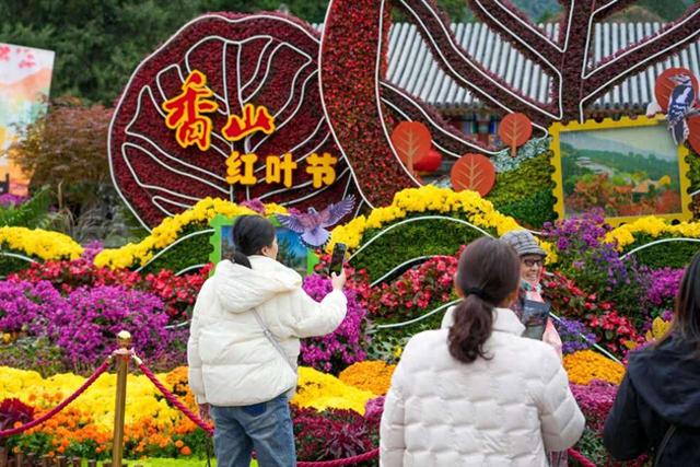 北京香山红叶10月下旬逐步进入最佳观赏期