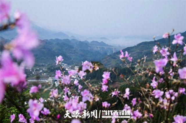 【多彩小水】万紫千红皆诗意，最爱小水多彩色｜多彩之紫