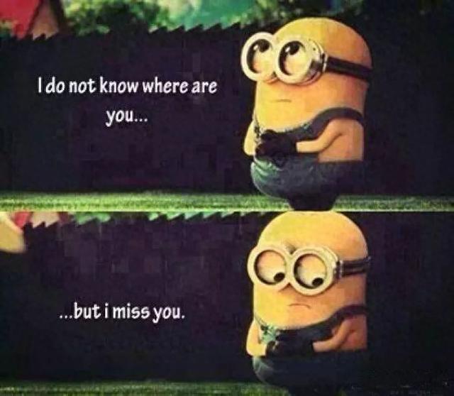 missyou是什么意思呢（I miss you竟然不是我想你那是什么意思）