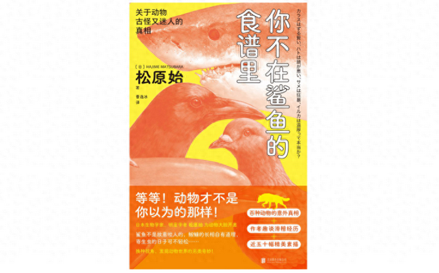 繁殖季节阿尔法攻略（在动物世界）