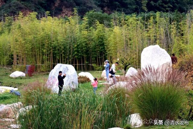 【醉美金秋 “乡”约清水】国庆中秋“双节”第四天 | 雨润乡居客自来 清水乡村游成双节“心头好”