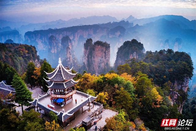 【每日一图@湖南】秋冬自驾必冲！张家界黄石寨暖阳峰林美到出圈