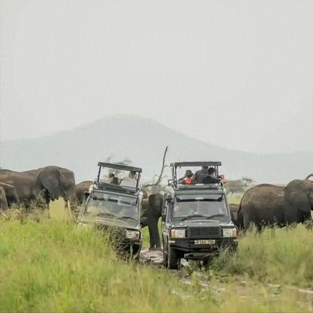会对客人叫妈妈，坦桑尼亚之旅让人震惊，哭笑不得误解太深了
