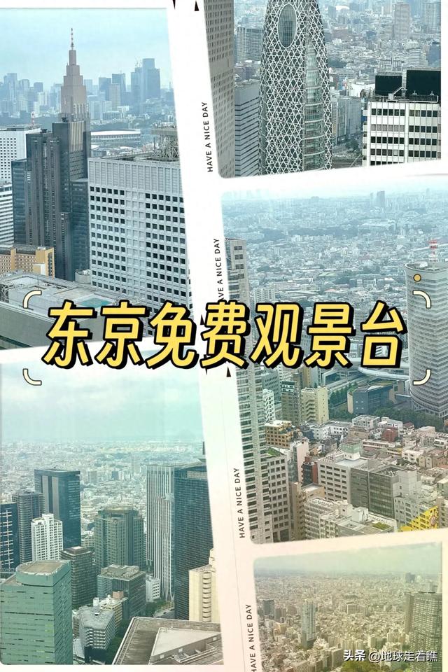 东京都厅:公务员食堂+免费观景台,这才是东京最“内行”玩法!