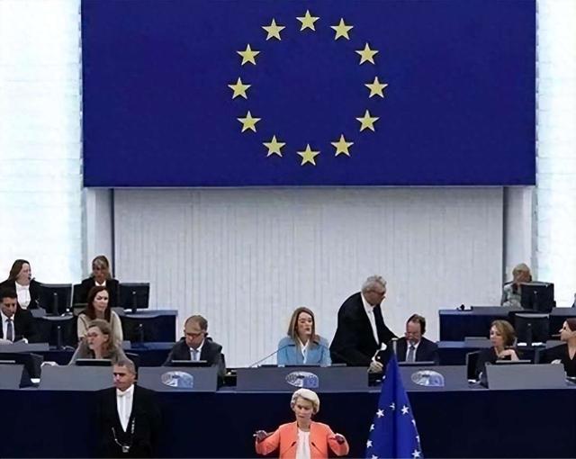 欧盟高兴早了！刚拿到中方稀土许可证，第二天就收到一条坏消息