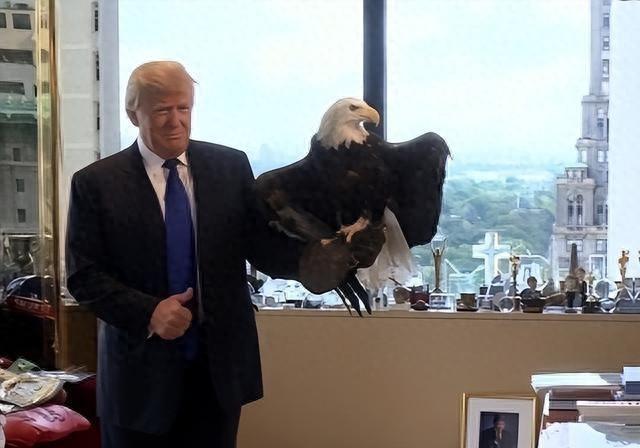 挂断中方电话之后，特朗普致电东京，高市早苗被日本人喊话下台！