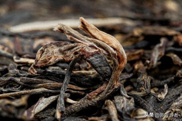 普耳茶属于红茶吗（普洱茶属于红茶还是绿茶）