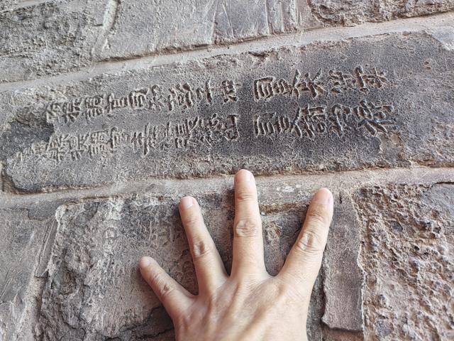 碧云天，黄叶地。秋色连波，波上寒烟翠一一玄武湖银杏迟