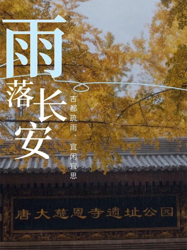 周末必打卡！西安4个雨天氛围感公园→