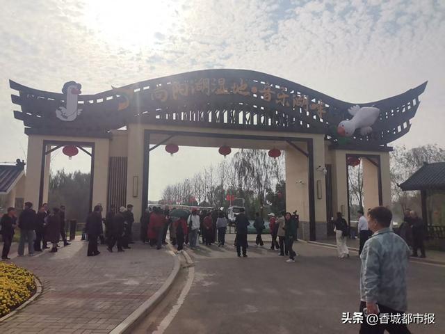 岁岁重阳，情暖湿地：千名退休老人的向阳湖秋日之约