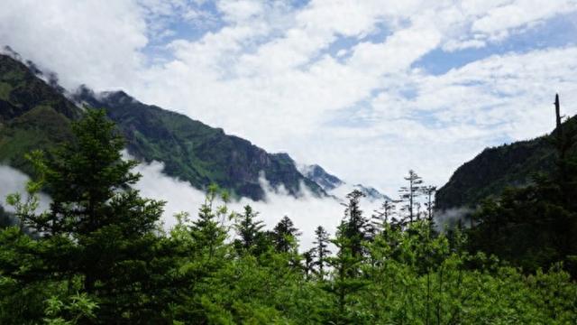 邬峭峰：老王出行