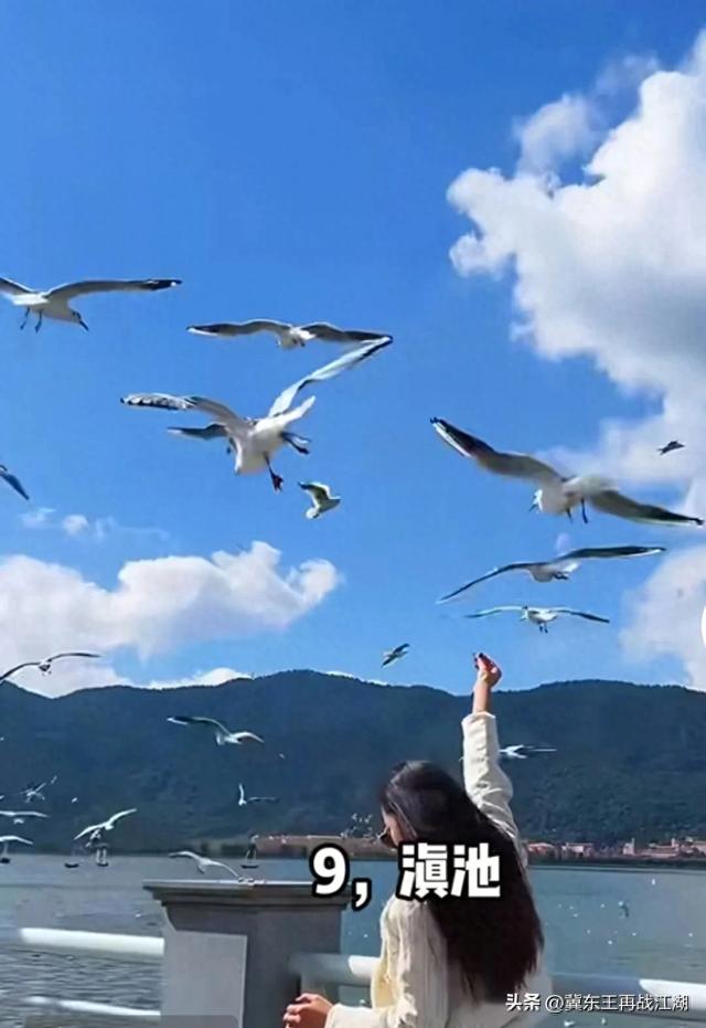 7、8月来昆明旅游的好处竟然这么多