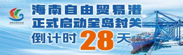 3天拉动1个亿，澄迈这个音乐节为何一火再火？