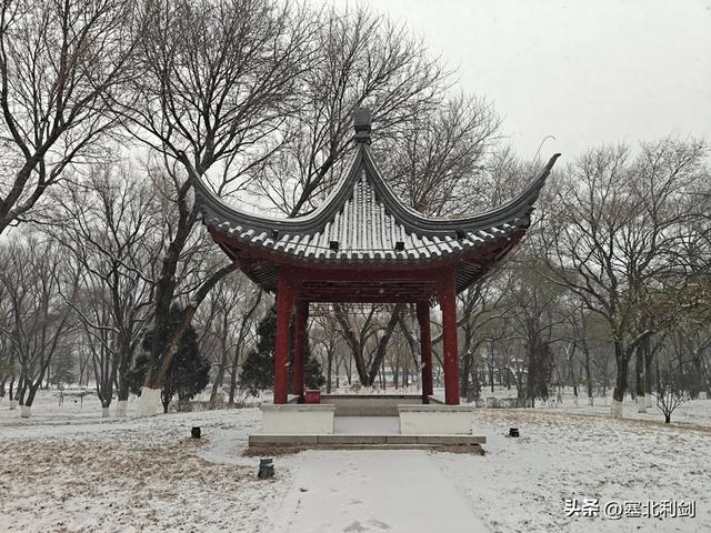 宣化俩老汉下雪天聊天记