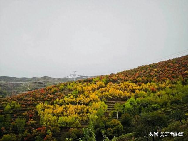 安定区：秋染青岚