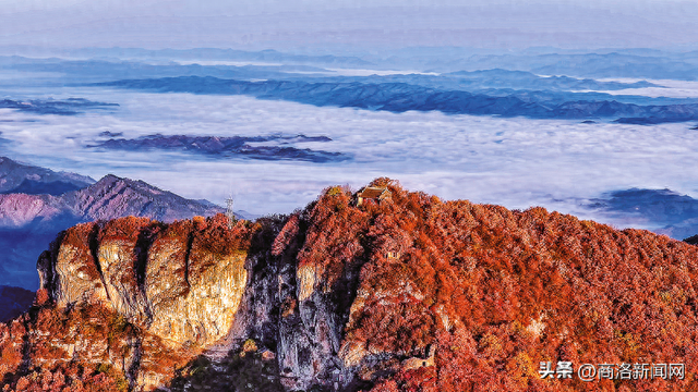 枫叶红落叶黄 商洛秋浓好风光