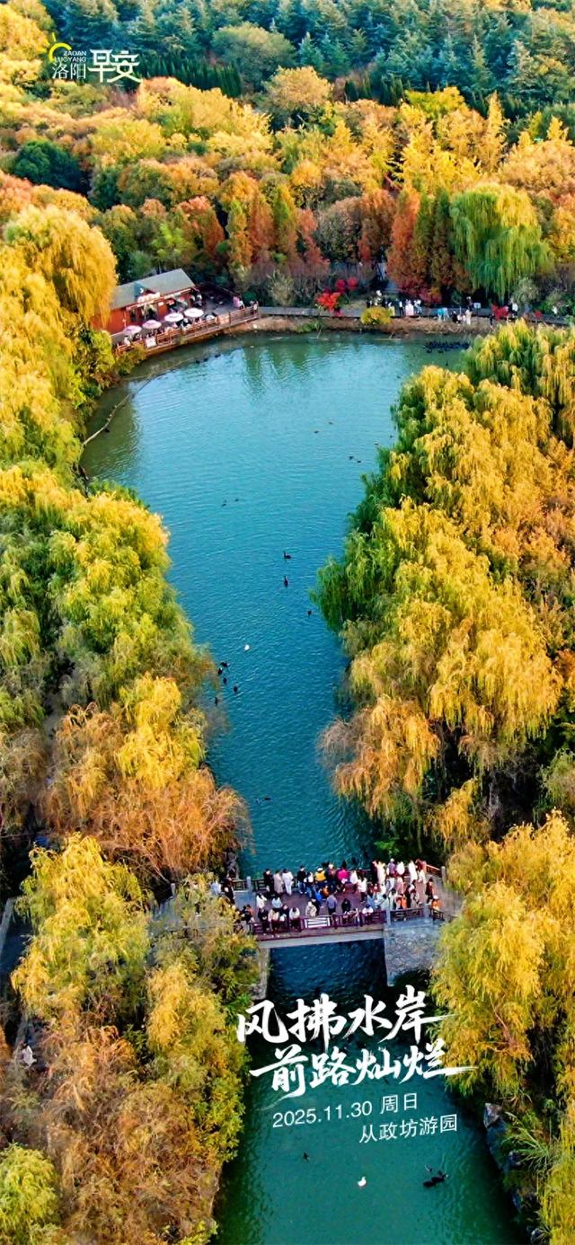 洛阳·早安 | 风拂水岸，前路灿烂