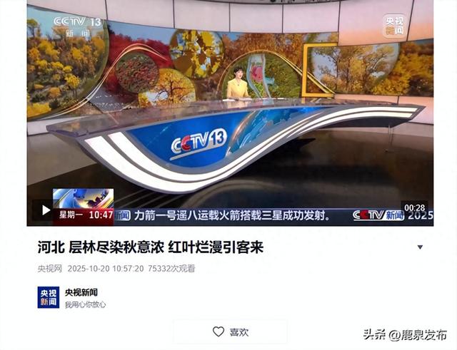 河北 层林尽染秋意浓 红叶烂漫引客来