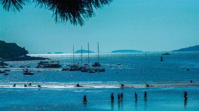 山海之城青岛的流量密码