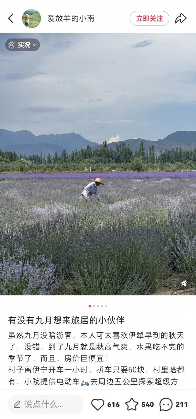 从理光到大疆，年轻人在追逐什么样的新相机