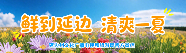 出发！前往安图绿浪翻涌的宝藏村落
