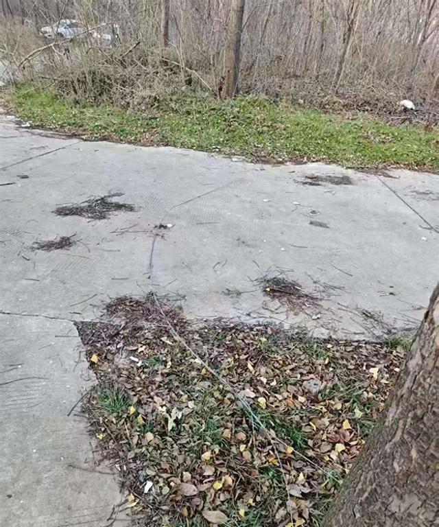 男子骑车被铁丝“夺命”身亡：洛阳森林公园事故让人揪心