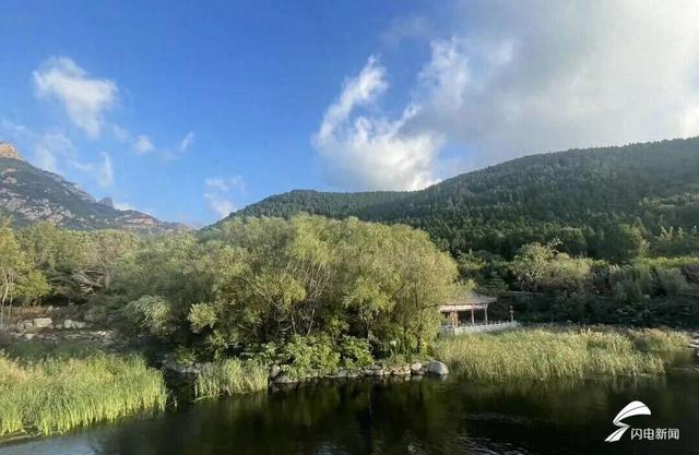 组图丨泰山秋韵：当云海吻过山林 是独属于十月的浪漫