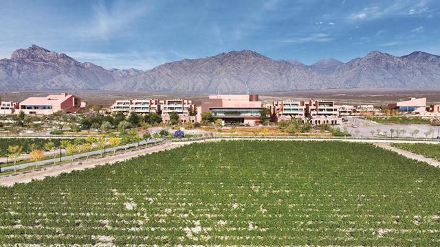 贺兰山下 诗意栖居