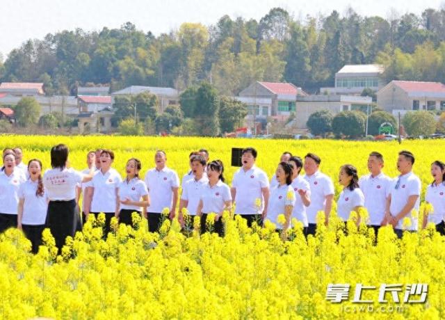 赴江背花田之约！合唱、T台秀、飞花令轮番上演，春日氛围感拉满