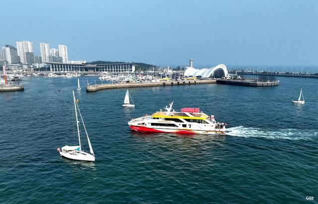 海上新山东丨年度载客量突破350万人次！青岛海洋旅游再交亮眼成绩单