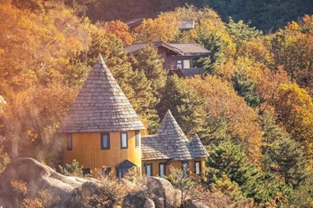 快来打卡！北京密云的绝美秋景藏不住了