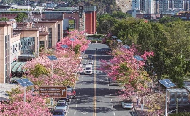 共赴冬日“安逸之约”