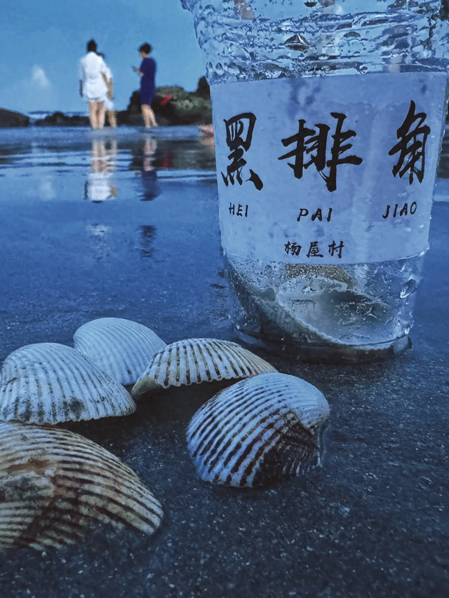 逃离海滩酒吧攻略（2025惠州最小众沙滩攻略｜私藏绝美海岸线附详细路线避坑指南）