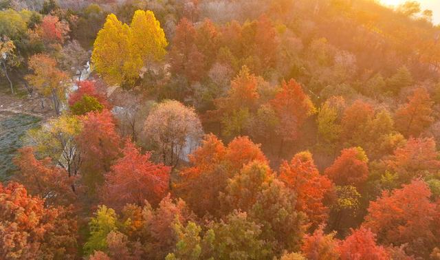 江苏东海：湿地公园冬景绚丽