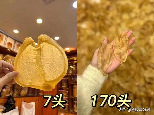花胶炖煮后变小 花胶炖了变小