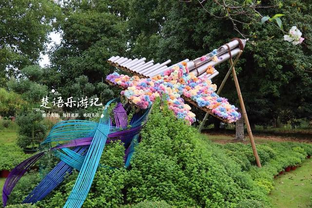 宁波这个网红菊花展已经上线，花还没开但景色很美，快来先睹为快