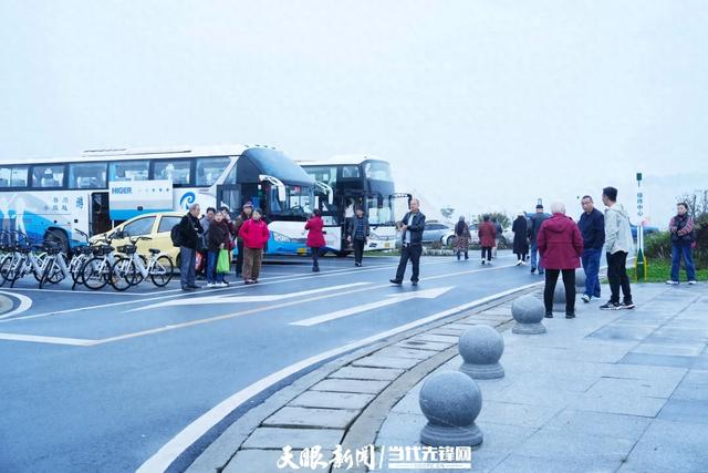 百里杜鹃:“生态康养”获省外游客点赞