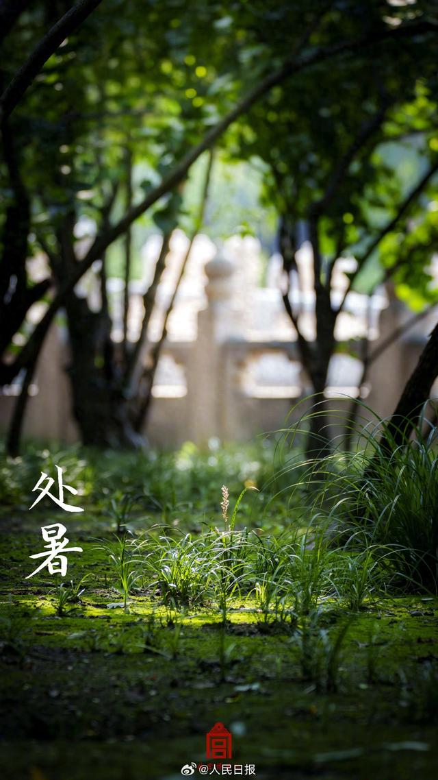 新浪微博网页版怎么看收藏（收藏故宫节气壁纸一眼惊艳）