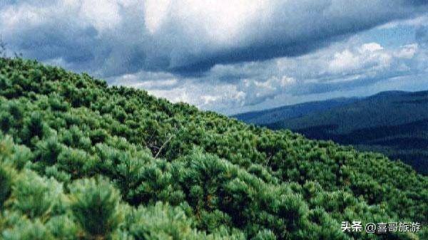 敦化老白山：长白深处的原生态秘境