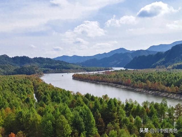 宁国红杉林:观赏指数Ⅱ级!