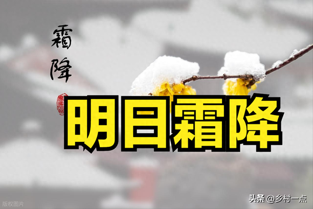 明日霜降，无论多忙，提醒“最不能”做的5件事，告诉家人要知道