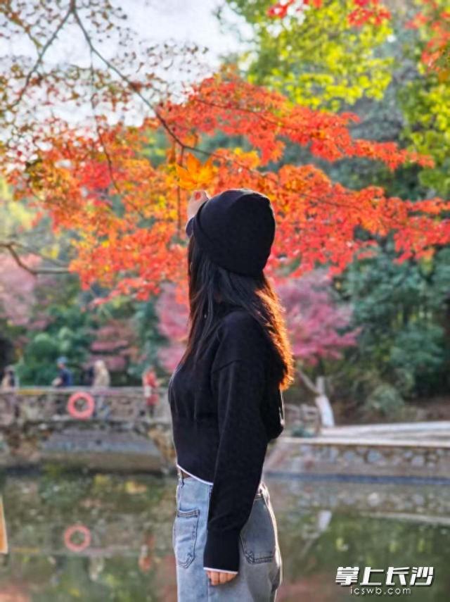 城北初冬，给你一抹“安可拉红”