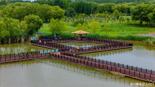 无需门票！藏在济南的“天然空调”！赏荷、骑行、拍大片一站搞定！