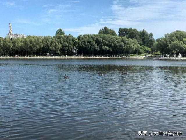 让光照进自己的心