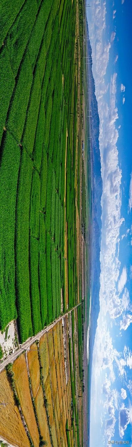 盛夏，色彩斑斓的生态画卷美“翻”了景泰