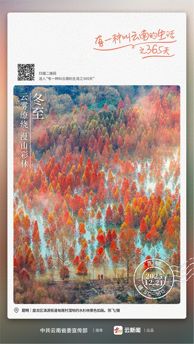美成画了！许你一个五彩斑斓的冬天——有一种叫云南的生活之365天
