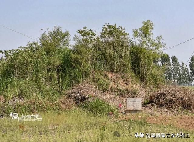 行车来到邯郸讲武城东，已经是东魏、北齐勋贵墓群的过渡带